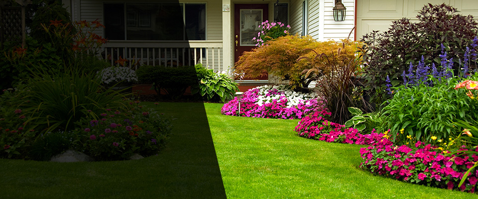 Palmdale Landscapers