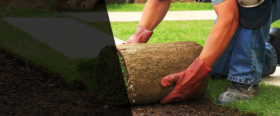 Palmdale Landscapers